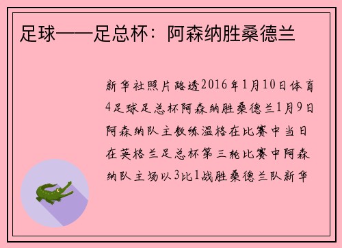 足球——足总杯：阿森纳胜桑德兰