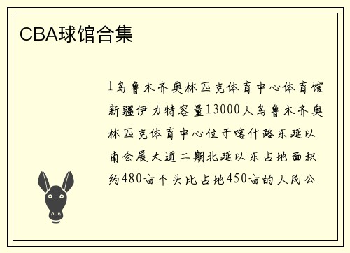 CBA球馆合集